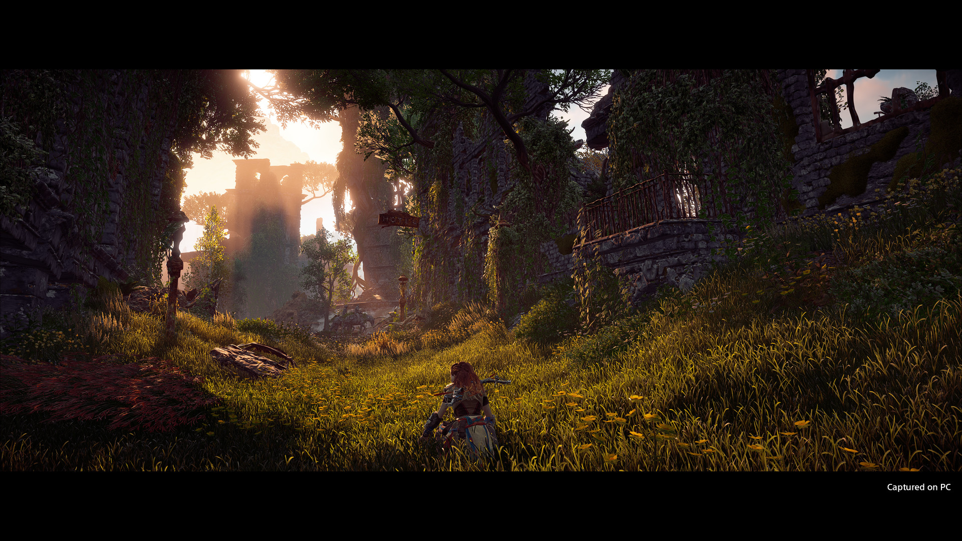 地平线:零之曙光完全版/Horizon Zero Dawn Complete Edition 插图1-ShareWebs.me 资源网 https://www.sharewebs.me 地平线:零之曙光完全版/Horizon Zero Dawn Complete Edition 插图1